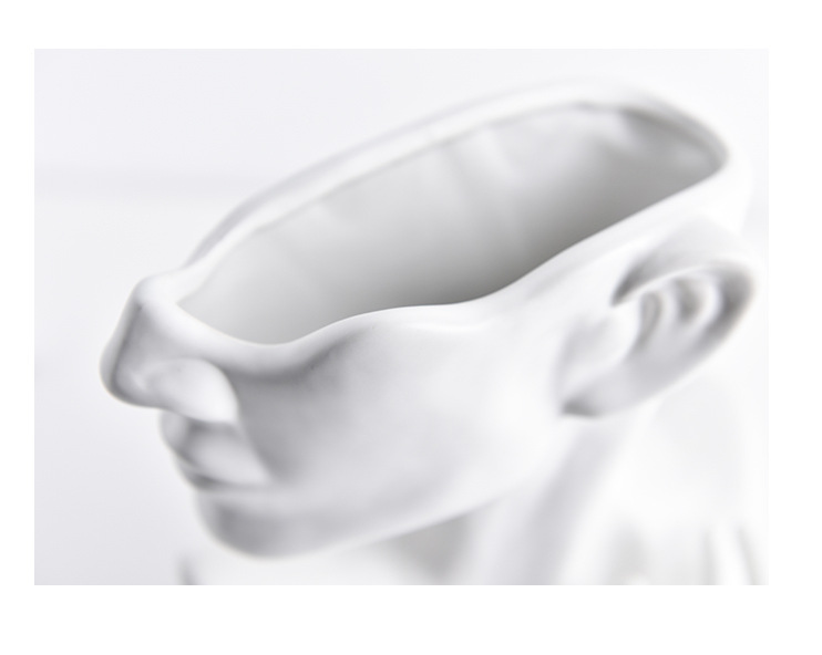 Modern Nordic Style Creative Portrait Vase Human Head Flower Vases Decorative Ornaments Resin Home Flowers Art Decor DAME BOHEME