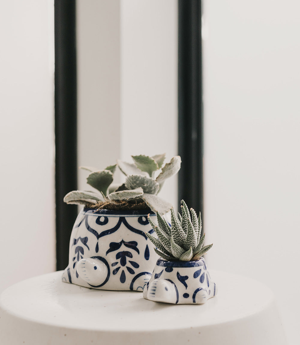 Lalita Mama Turtle Succulent Planter - White, Blue Hand Painted DAME BOHEME