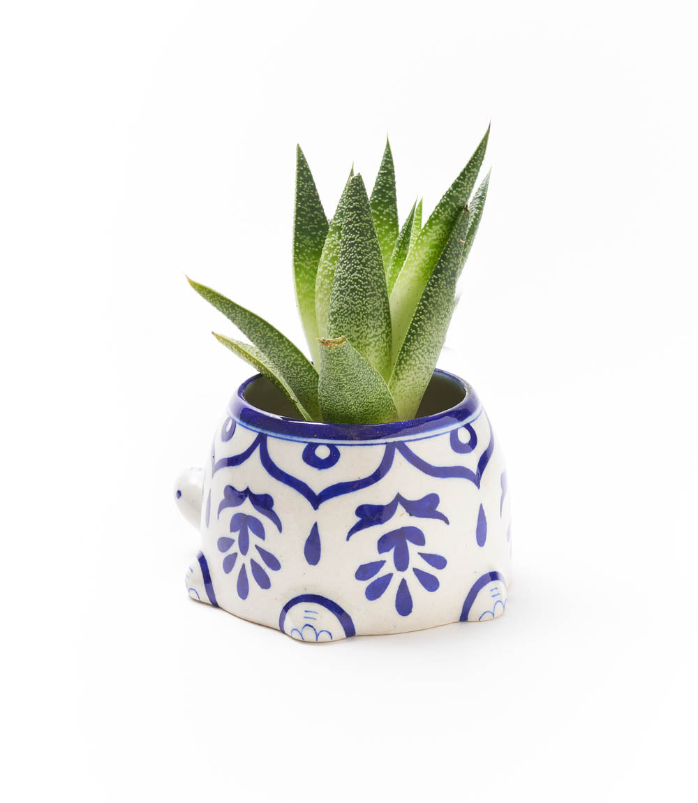 Lalita Mama Turtle Succulent Planter - White, Blue Hand Painted DAME BOHEME