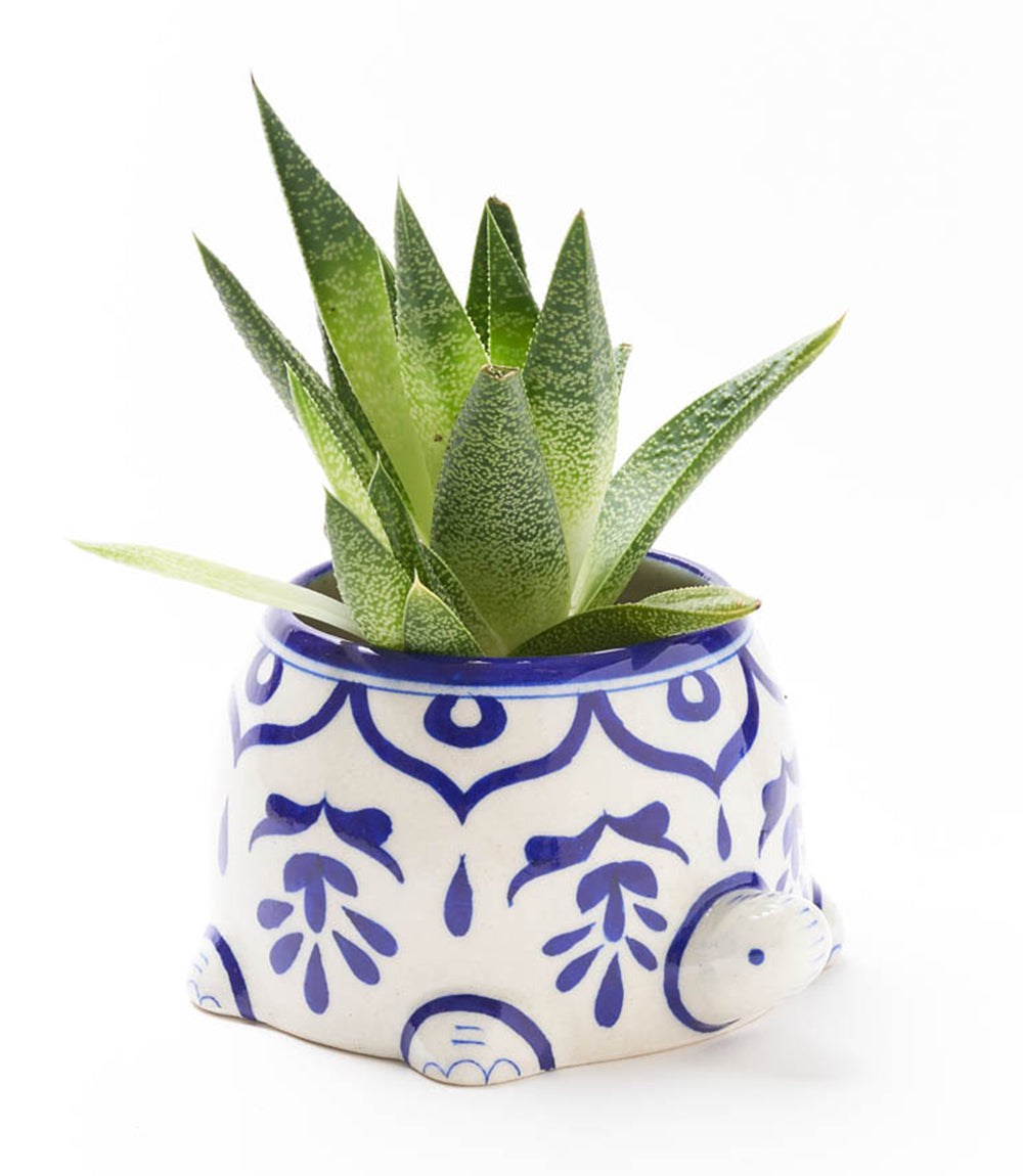Lalita Mama Turtle Succulent Planter - White, Blue Hand Painted DAME BOHEME