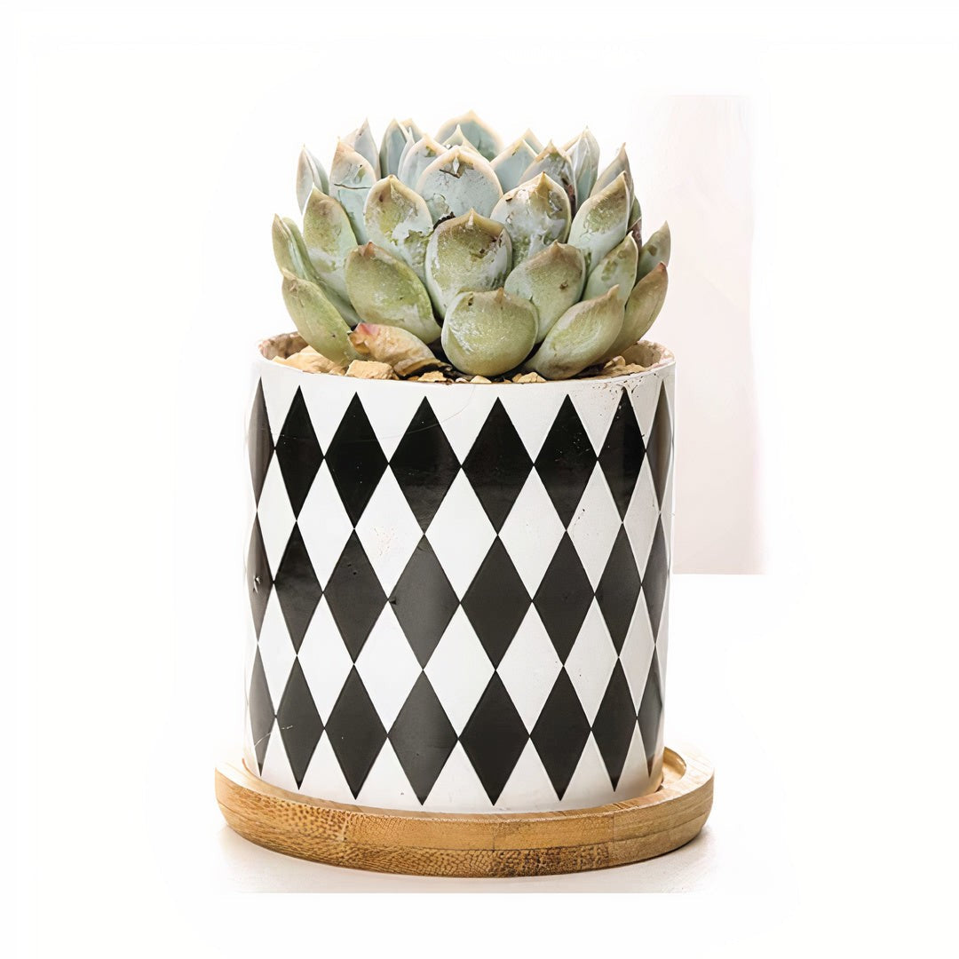 B&W Geometric Ceramic Planters – Set of 3 DAME BOHEME