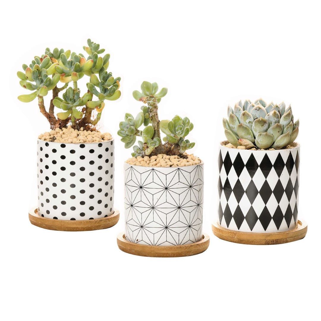 B&W Geometric Ceramic Planters – Set of 3 DAME BOHEME