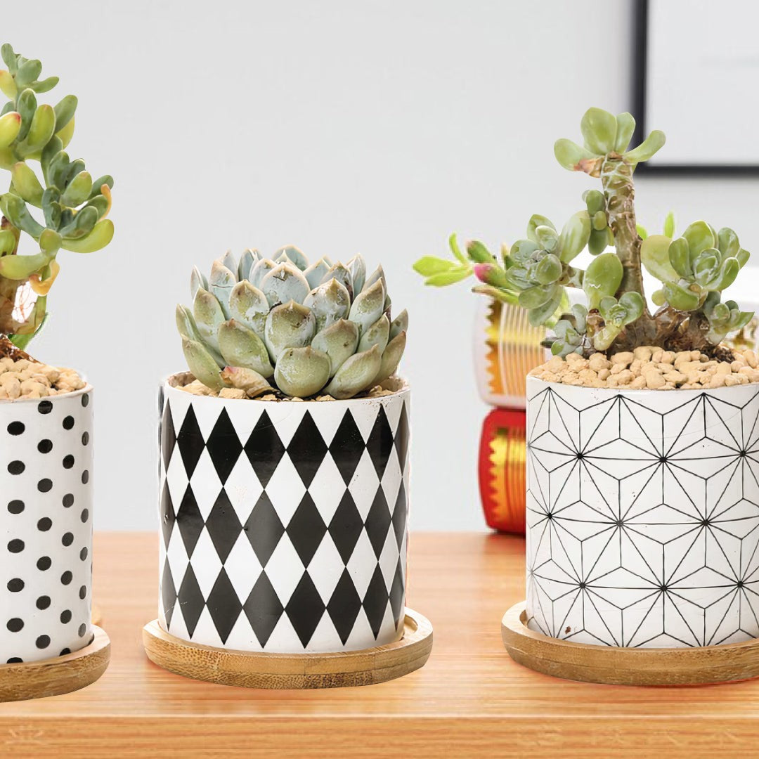 B&W Geometric Ceramic Planters – Set of 3 DAME BOHEME