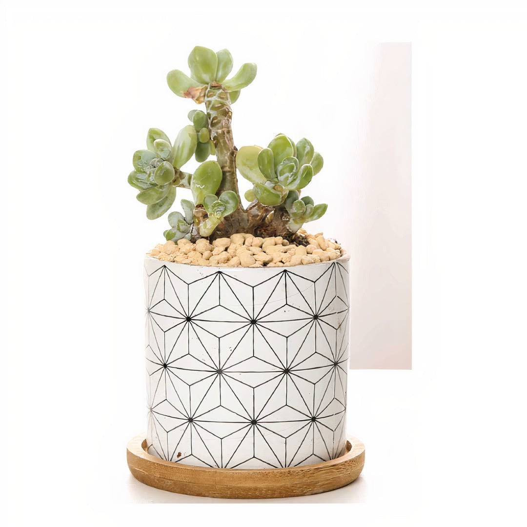 B&W Geometric Ceramic Planters – Set of 3 DAME BOHEME