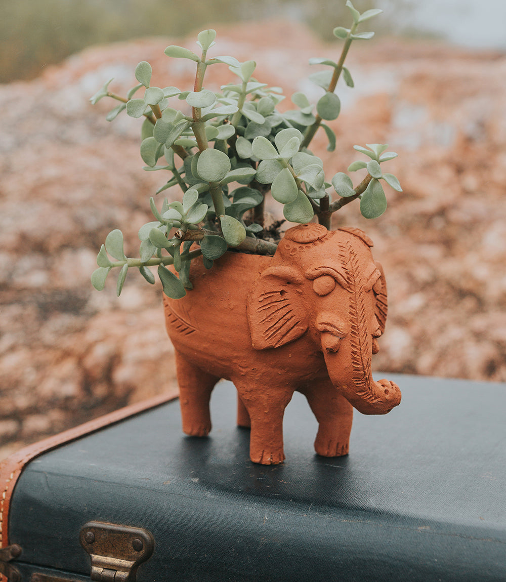 Rakshana Elephant Plant Pot - Terracotta  DAME BOHEME