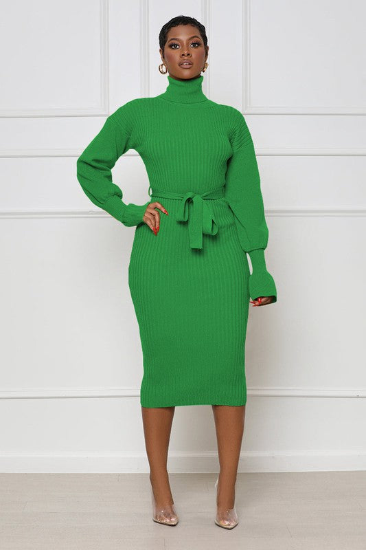 Turtleneck Midi Bodycon Rib Knit Dress