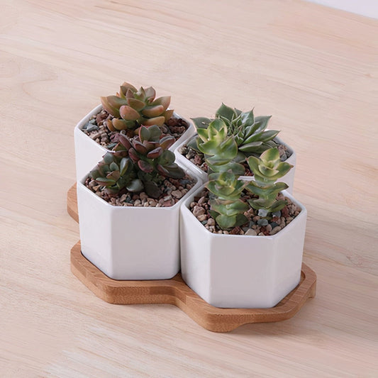 Beehive Ceramic Planter Set – 4 Hexagon Pots with Tray  DAME BOHEME