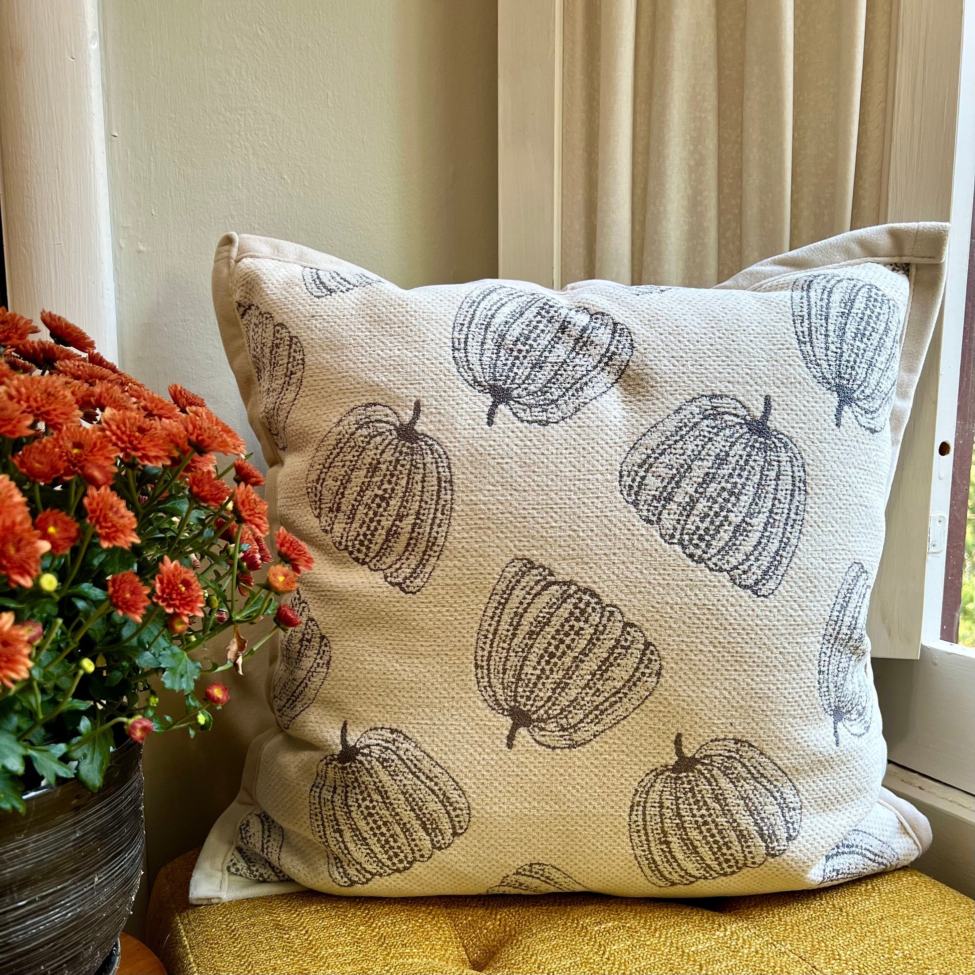 Chenille Charcoal Pumpkin Pillow Cover  DAME BOHEME