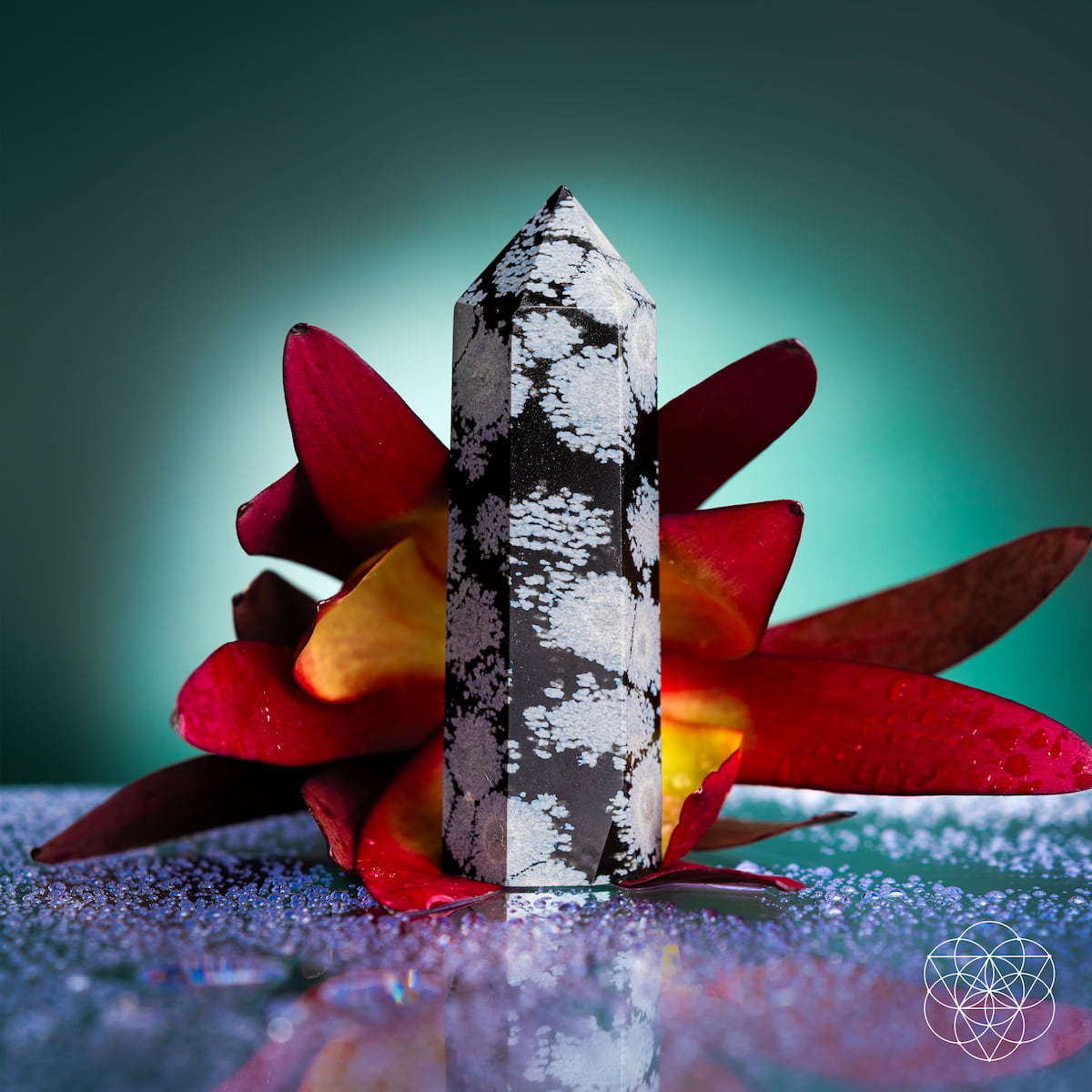 Spiritual Bodyguard - Snowflake Obsidian Point  DAME BOHEME