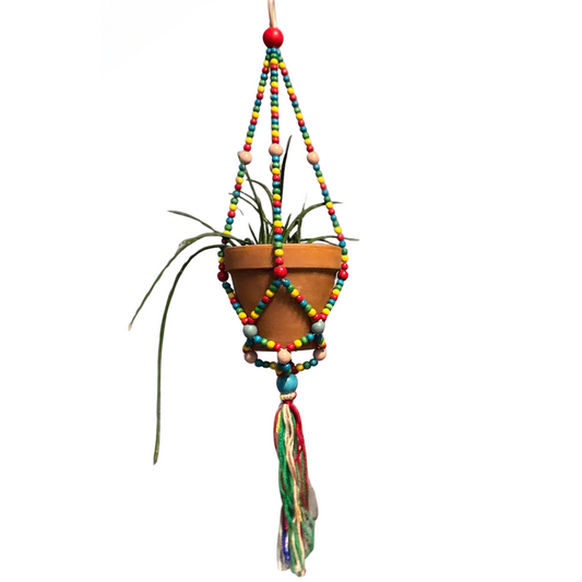 Rainbow Macrame Plant Holder | Bohemian Decorative Hanging Flowerpot Holder  DAME BOHEME