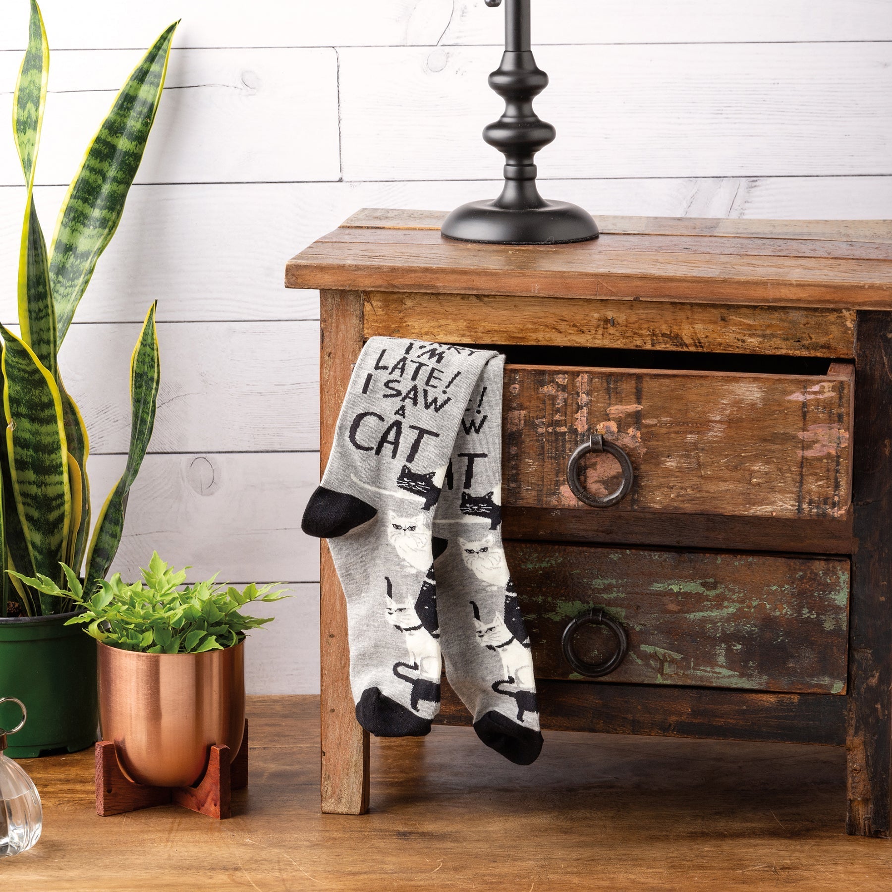 Sorry I'm Late I Saw A Cat Woven Socks | Black & White Cats Designs Novelty Socks  DAME BOHEME