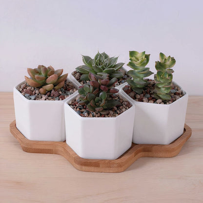 Beehive Ceramic Planter Set – 4 Hexagon Pots with Tray  DAME BOHEME