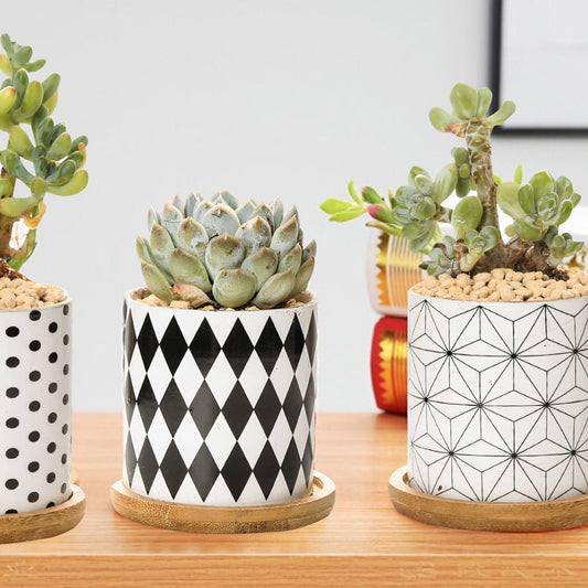 B&W Geometric Ceramic Planters – Set of 3  DAME BOHEME