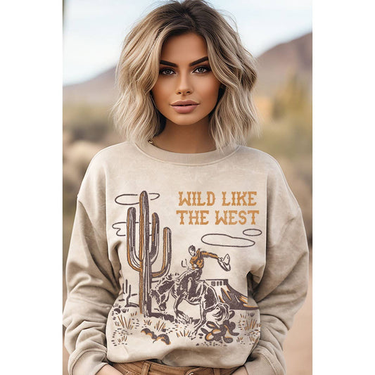WILD LIKE THE WEST Mineral Graphic Sweatshirt  DAME BOHEME