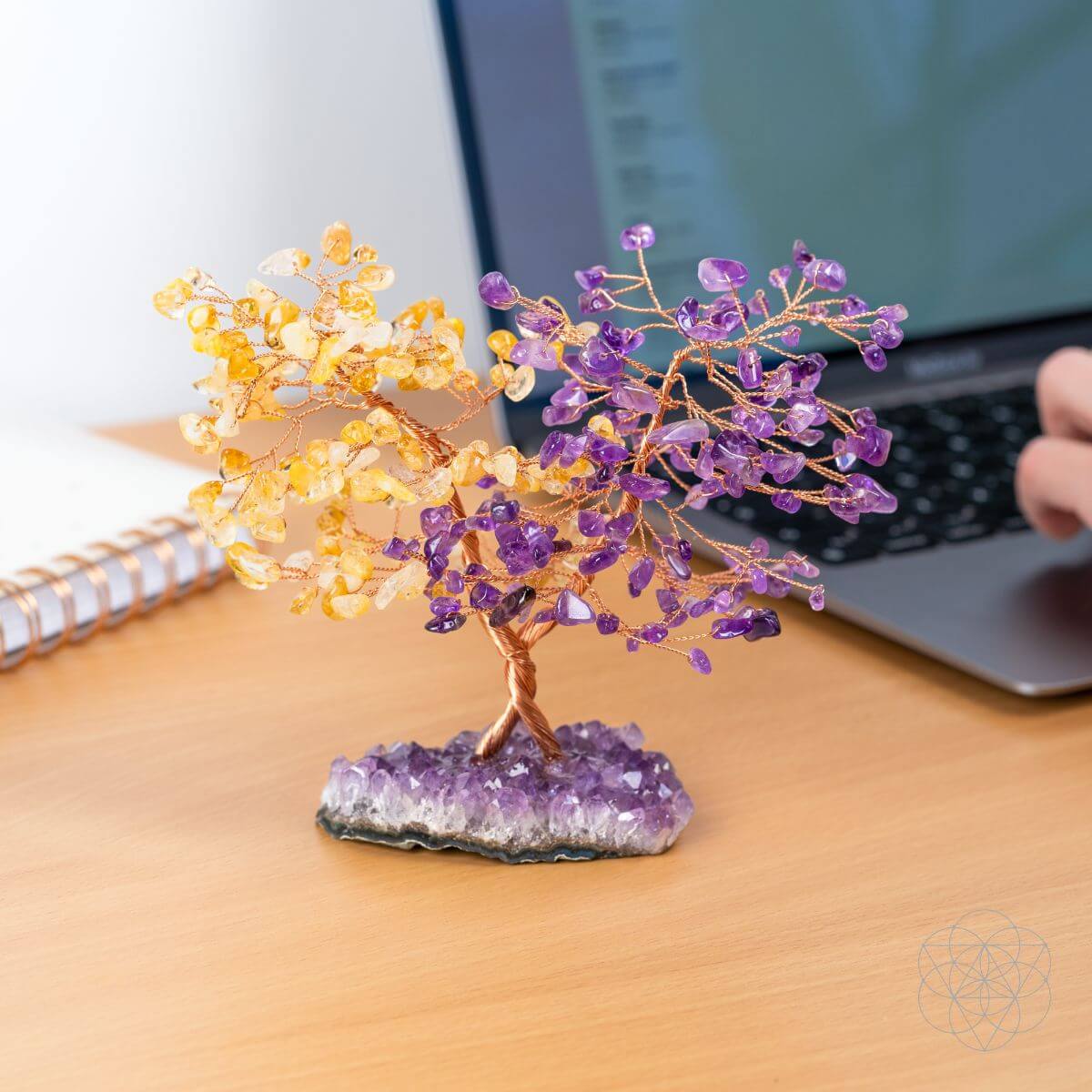 Supreme Abundance: Tree of Everlasting Fortune  DAME BOHEME