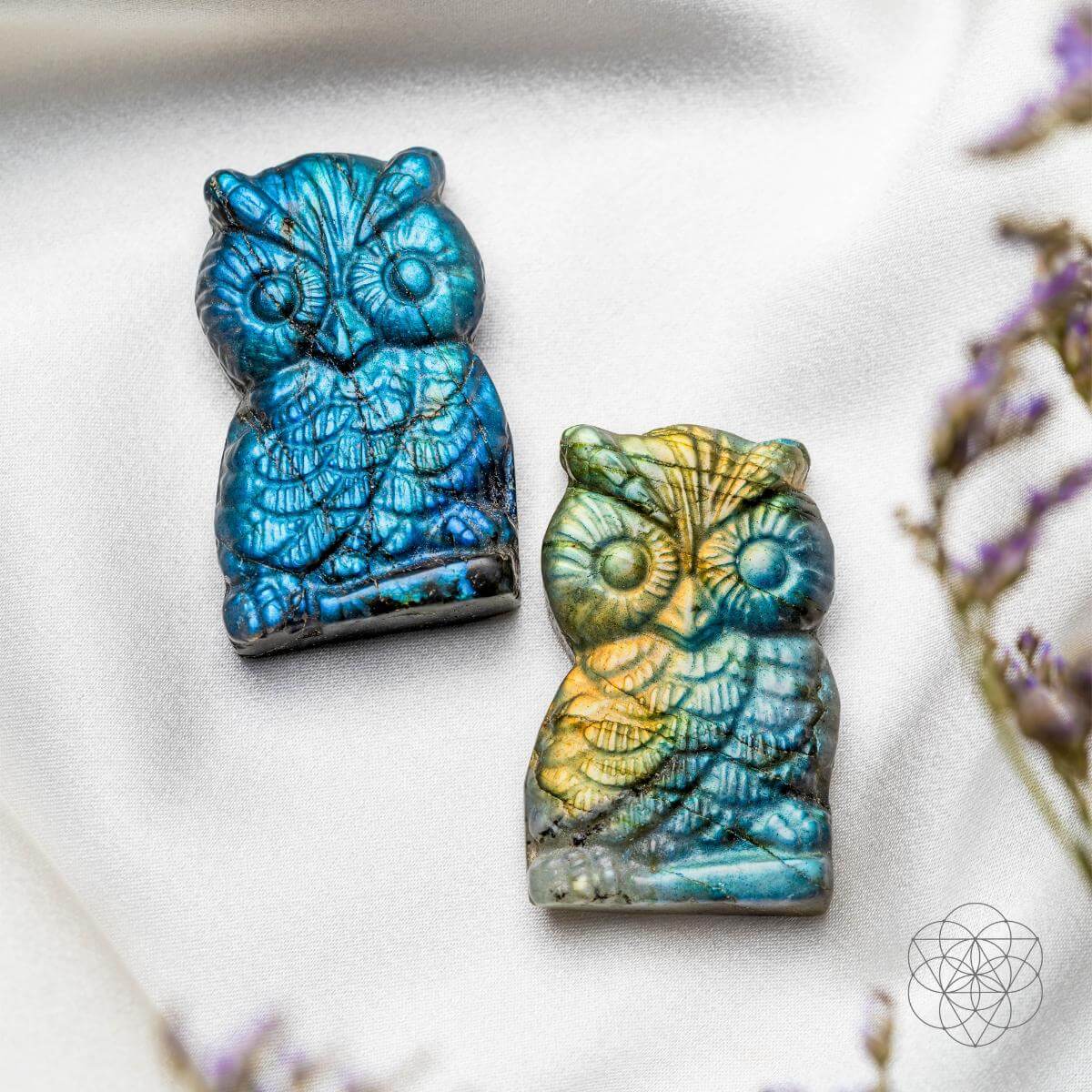 Token of Wisdom - Labradorite Owl Talisman  DAME BOHEME