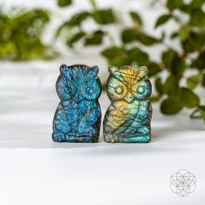 Token of Wisdom - Labradorite Owl Talisman  DAME BOHEME