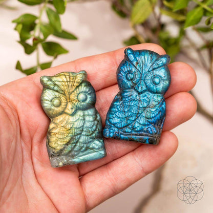 Token of Wisdom - Labradorite Owl Talisman  DAME BOHEME