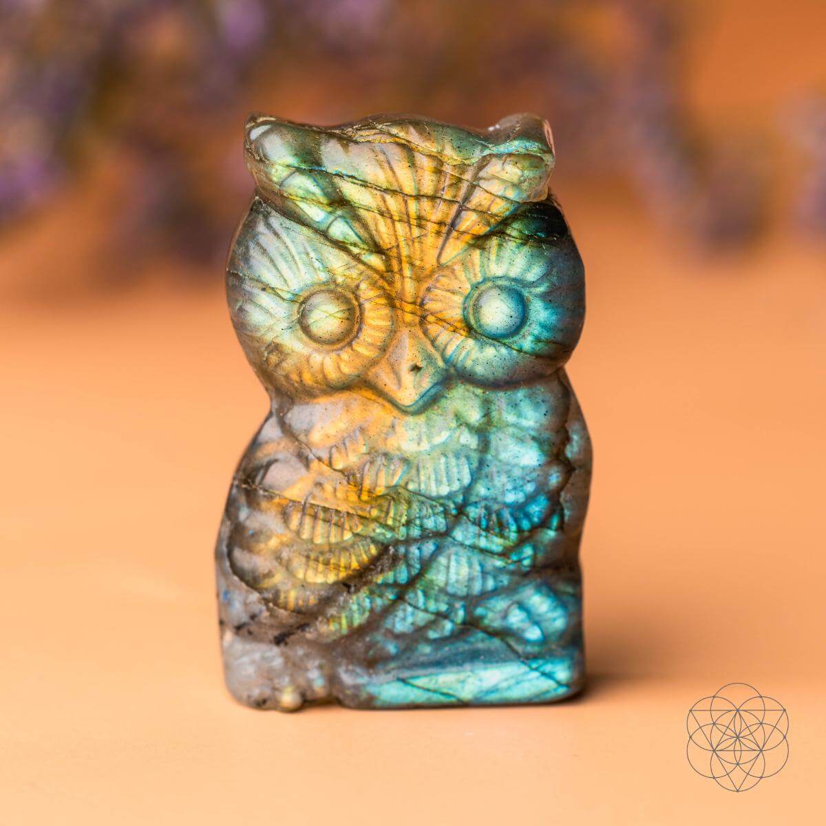 Token of Wisdom - Labradorite Owl Talisman  DAME BOHEME